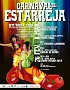 Cartaz Carnaval 2011