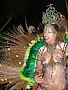 I Troféu Nacional de Samba 2008